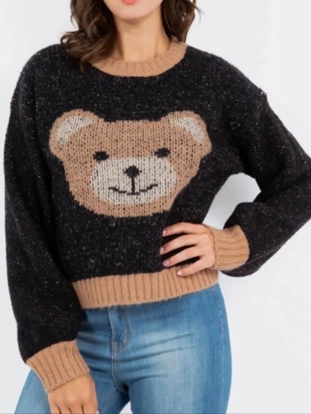 ☀️ Luna Ivy Teddy Bear Flecked Knit Crop Sweater Large NWT